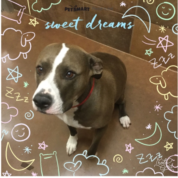 Meet your Seller, Lori - Picture 7 of 7